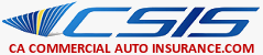 CSIS Logo